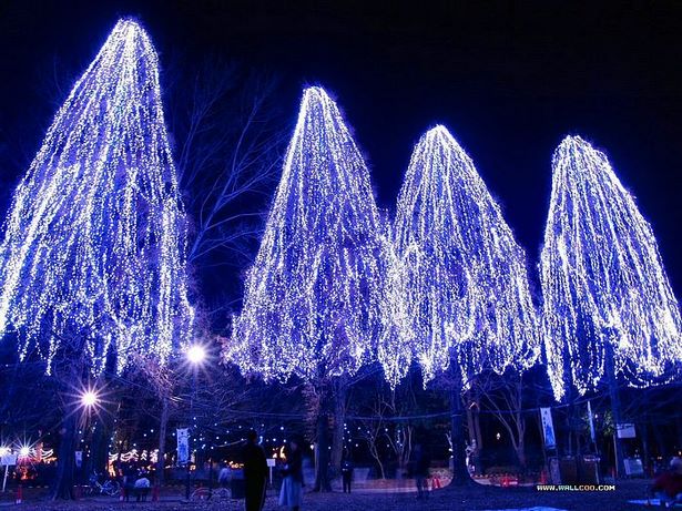 christmas-light-ideas-outdoor-tree-84_9 Коледна светлина идеи открито дърво