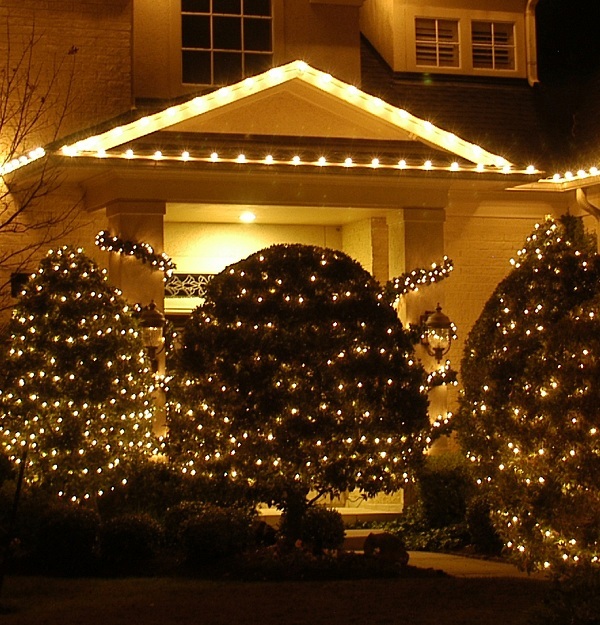 christmas-lights-bushes-ideas-55_10 Коледни светлини храсти идеи