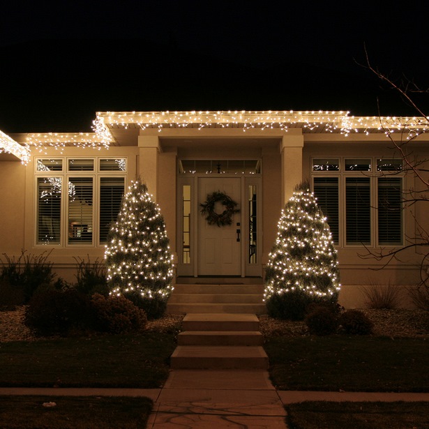 christmas-lights-bushes-ideas-55_11 Коледни светлини храсти идеи