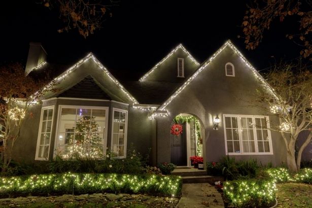 christmas-lights-bushes-ideas-55_13 Коледни светлини храсти идеи