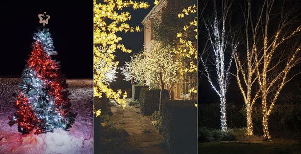 christmas-lights-bushes-ideas-55_4 Коледни светлини храсти идеи