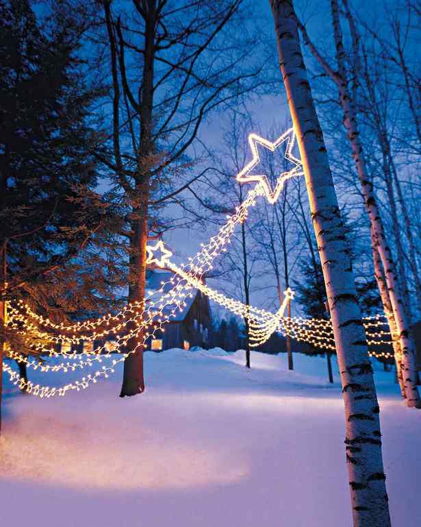 christmas-lights-in-yard-ideas-65_15 Коледни светлини в двор идеи