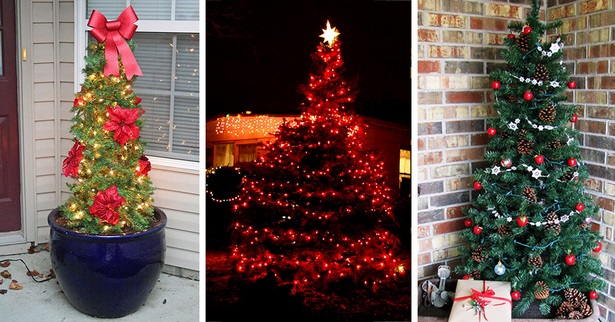 christmas-lights-outdoor-tree-ideas-46_12 Коледни светлини идеи за открито дърво