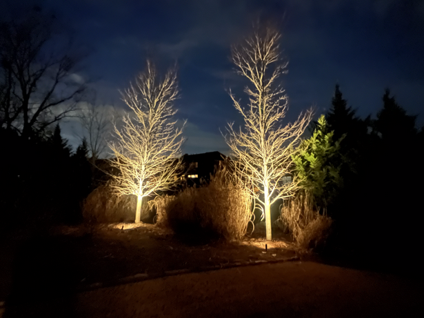 christmas-lights-outdoor-tree-ideas-46_2 Коледни светлини идеи за открито дърво