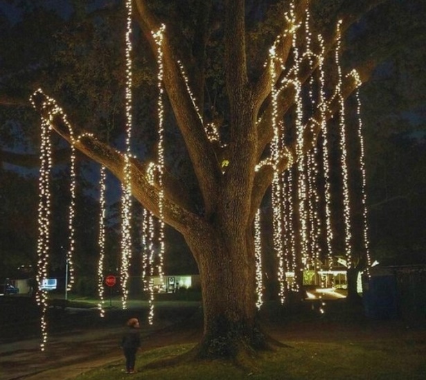 christmas-lights-outdoor-tree-ideas-46_5 Коледни светлини идеи за открито дърво