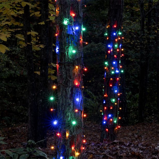 christmas-net-light-ideas-28_16 Коледни светлини външни декорации идеи