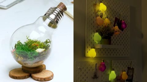 cool-light-bulb-ideas-54_11 Готини идеи за крушки