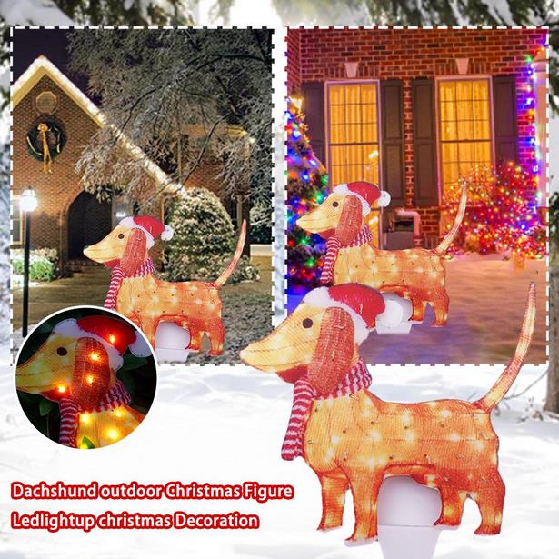 decorative-outdoor-lights-for-christmas-83_11 Декоративни външни светлини за Коледа