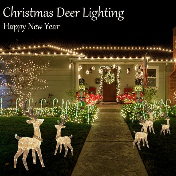 decorative-outdoor-lights-for-christmas-83_12 Декоративни външни светлини за Коледа
