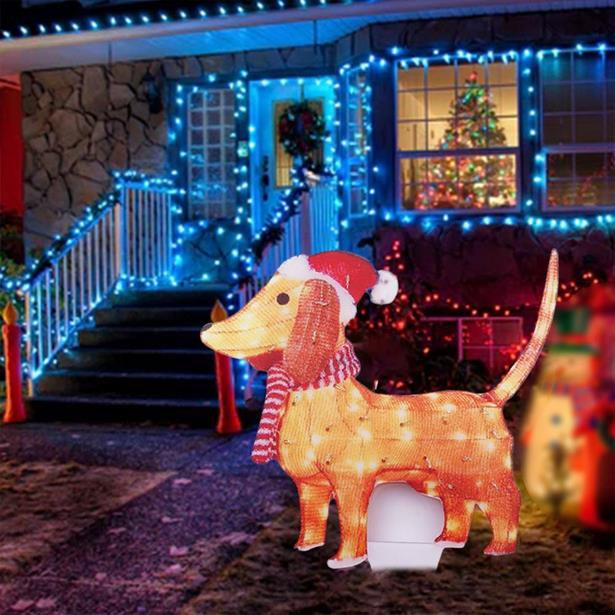 decorative-outdoor-lights-for-christmas-83_8 Декоративни външни светлини за Коледа