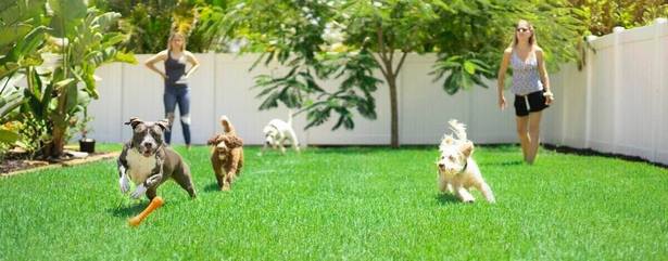 dog-friendly-backyard-ideas-57 Куче приятелски задния двор идеи