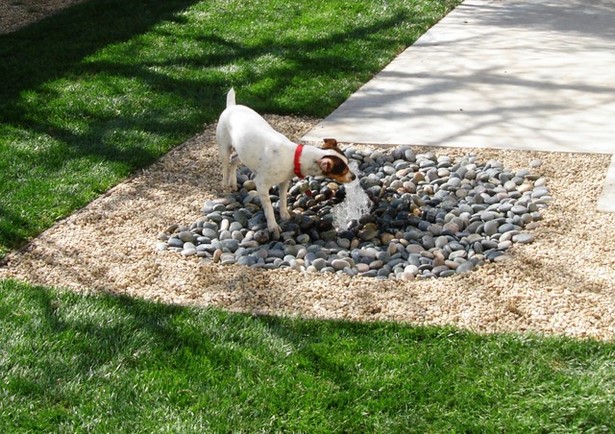dog-friendly-backyard-ideas-57_10 Куче приятелски задния двор идеи