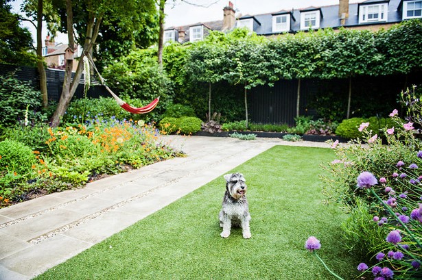 dog-friendly-backyard-ideas-57_14 Куче приятелски задния двор идеи