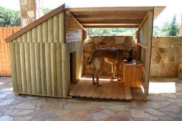 dog-friendly-backyard-ideas-57_16 Куче приятелски задния двор идеи