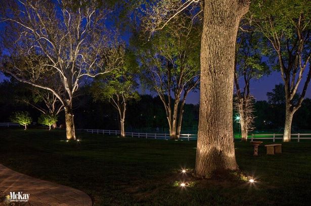 garden-tree-lights-26 Градинско дърво светлини