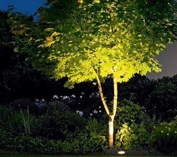 garden-tree-lights-26_3 Градинско дърво светлини