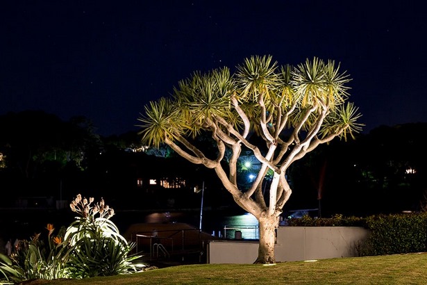 garden-tree-lights-26_5 Градинско дърво светлини