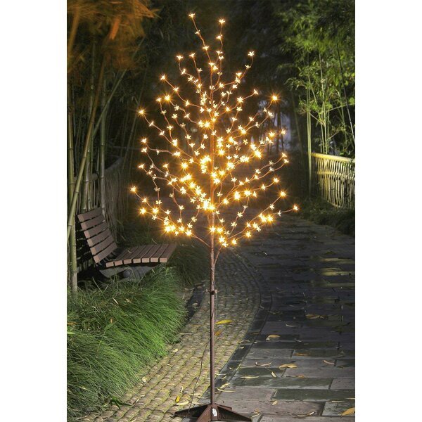 lighted-patio-trees-14_12 Осветени двор дървета