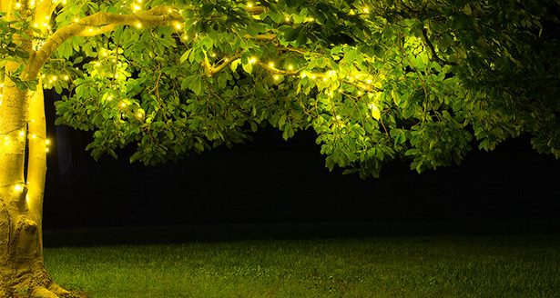 lighting-trees-in-backyard-73_10 Осветление дървета в задния двор