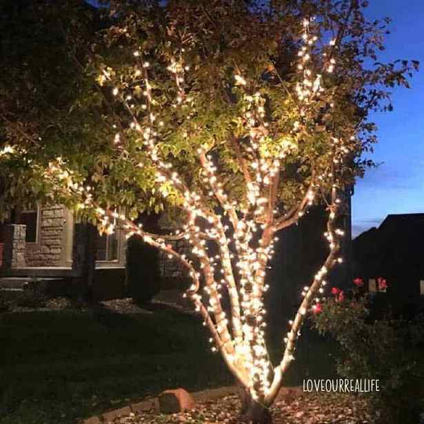 lighting-trees-in-backyard-73_13 Осветление дървета в задния двор