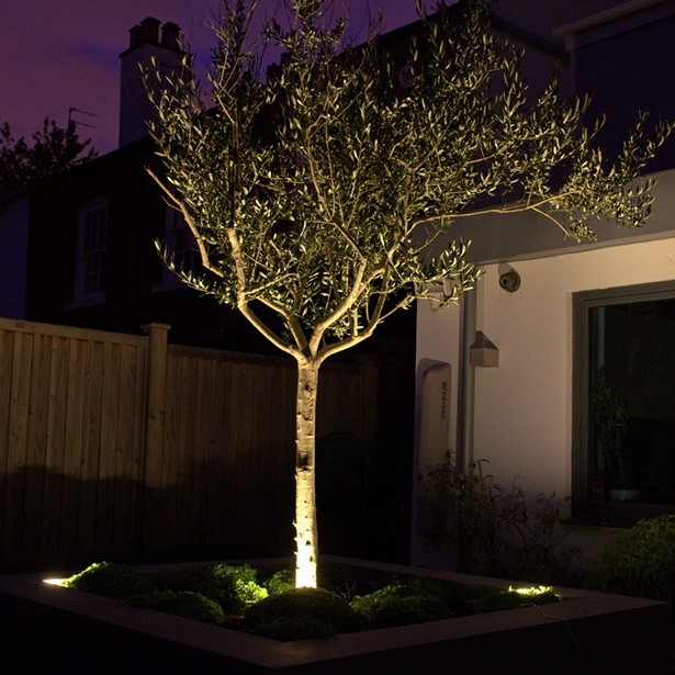 lighting-trees-in-backyard-73_5 Осветление дървета в задния двор