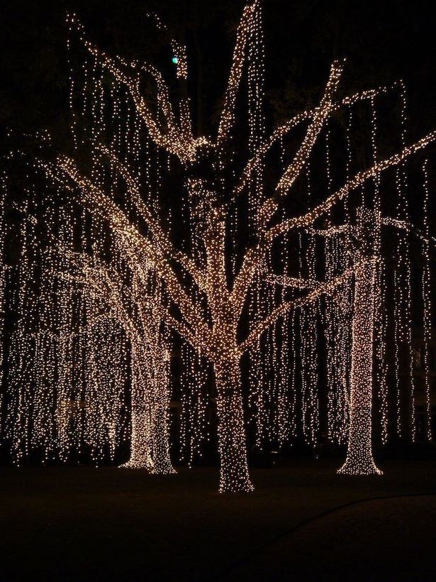 outdoor-christmas-light-hanging-ideas-43_4 Открит Коледа светлина висящи идеи