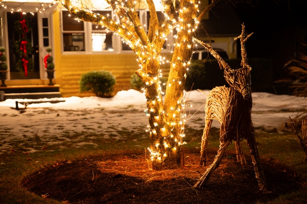 outdoor-christmas-light-ideas-for-the-house-45_13 Външни коледни идеи за къщата