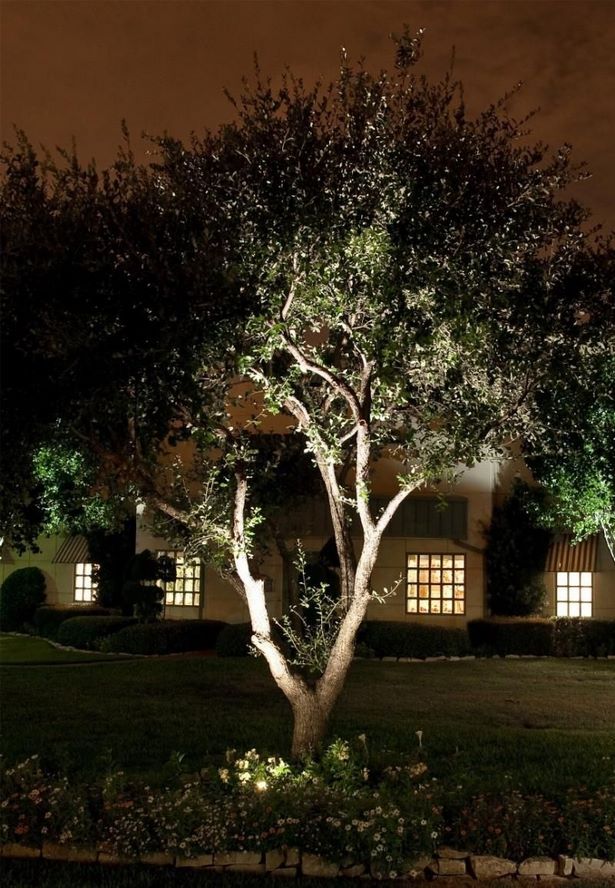 outdoor-garden-tree-lights-02 Открит градинско дърво светлини