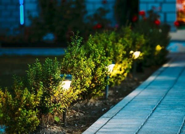 outdoor-hedge-lights-50 Външни хедж светлини