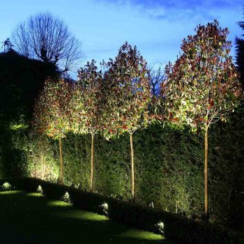 outdoor-hedge-lights-50_5 Външни хедж светлини