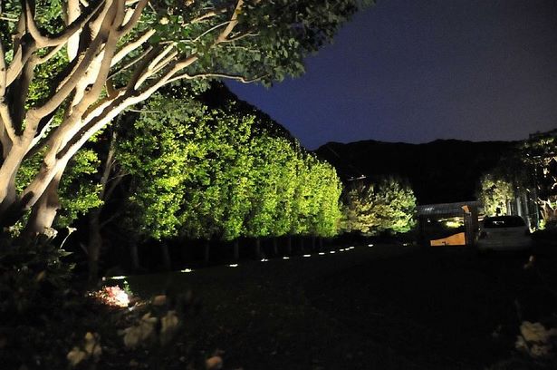 outdoor-hedge-lights-50_7 Външни хедж светлини