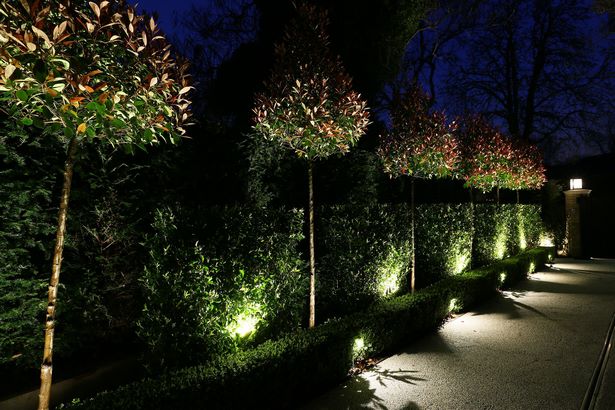 outdoor-hedge-lights-50_8 Външни хедж светлини