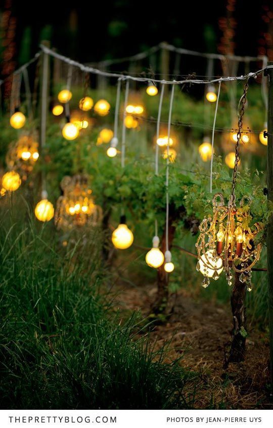 outdoor-party-decorations-lights-49_9 Външни парти декорации светлини