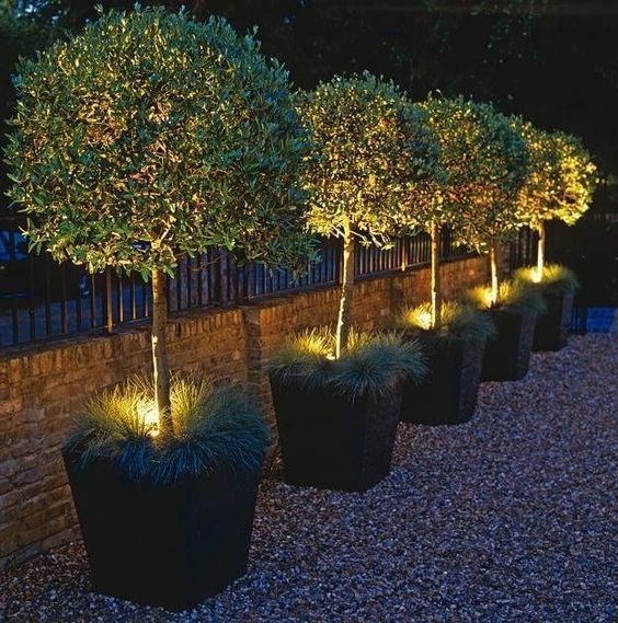outdoor-plant-lights-54_12 Външни растителни светлини