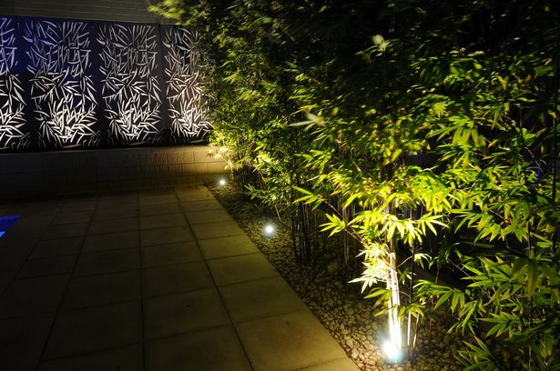 outdoor-plant-lights-54_14 Външни растителни светлини