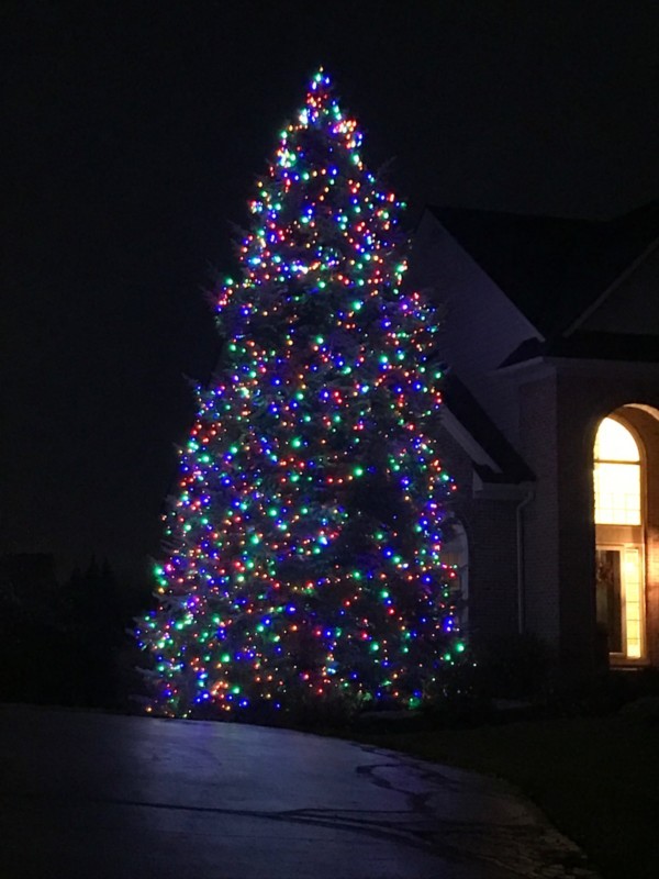 outside-christmas-tree-lights-decorations-18_3 Извън коледно дърво светлини декорации