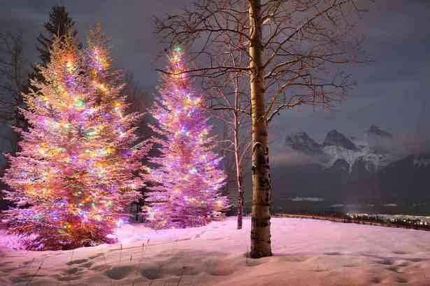 outside-christmas-tree-lights-decorations-18_8 Извън коледно дърво светлини декорации