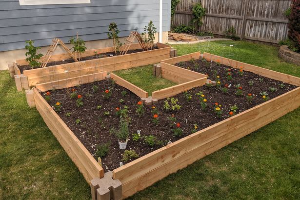 what-is-the-best-raised-garden-bed-77_10 Какво е най-доброто повдигнато градинско легло