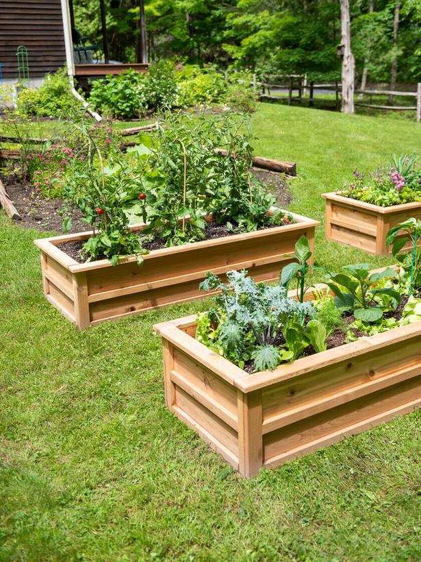 what-is-the-best-raised-garden-bed-77_16 Какво е най-доброто повдигнато градинско легло