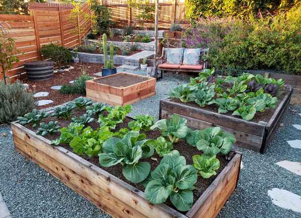 what-is-the-best-raised-garden-bed-77_18 Какво е най-доброто повдигнато градинско легло