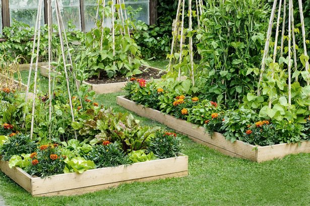 what-is-the-best-raised-garden-bed-77_19 Какво е най-доброто повдигнато градинско легло
