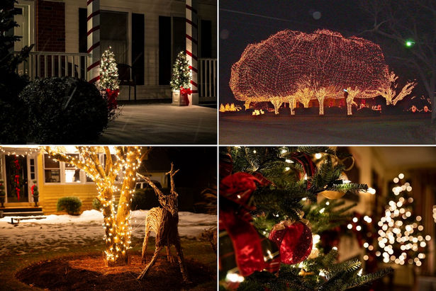 christmas-light-ideas-outdoor-tree-001 Коледна светлина идеи открито дърво