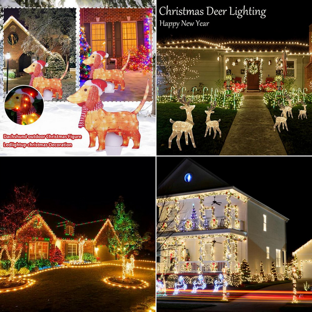 decorative-outdoor-lights-for-christmas-001 Декоративни външни светлини за Коледа