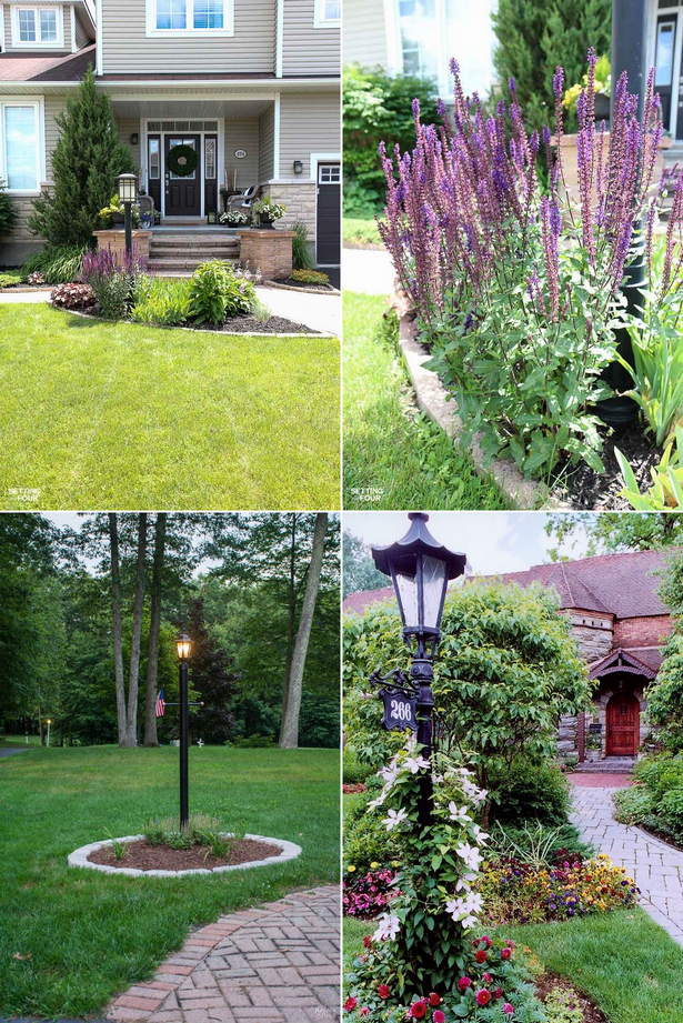 landscaping-ideas-around-light-pole-001 Идеи за озеленяване около светлинния стълб