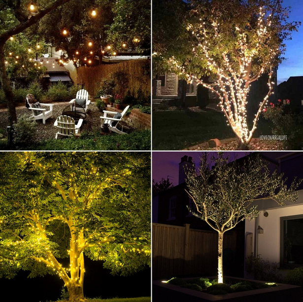 Осветление дървета в задния двор