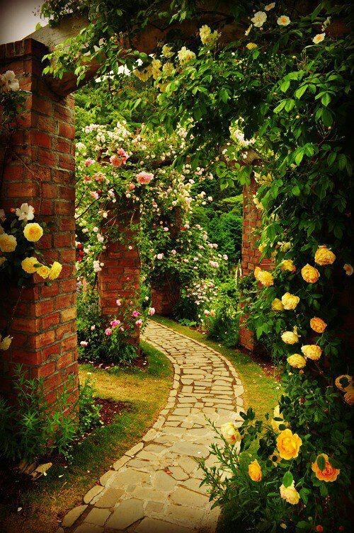 beautiful-garden-images-37 Красиви градински изображения