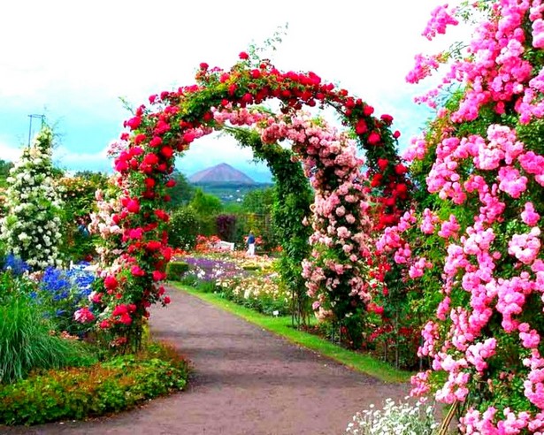 beautiful-garden-images-37_20 Красиви градински изображения