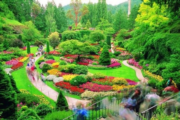 beautiful-garden-landscape-pictures-69_11 Красива градина пейзаж снимки