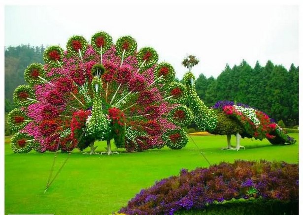 beautiful-garden-pictures-79 Красива градина снимки