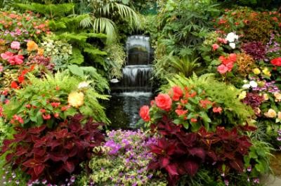 best-garden-pictures-40_5 Най-добрите градински снимки
